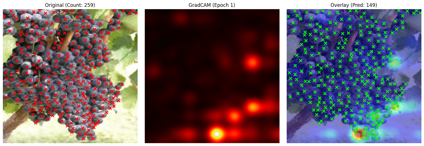 VLM Counting Evolution